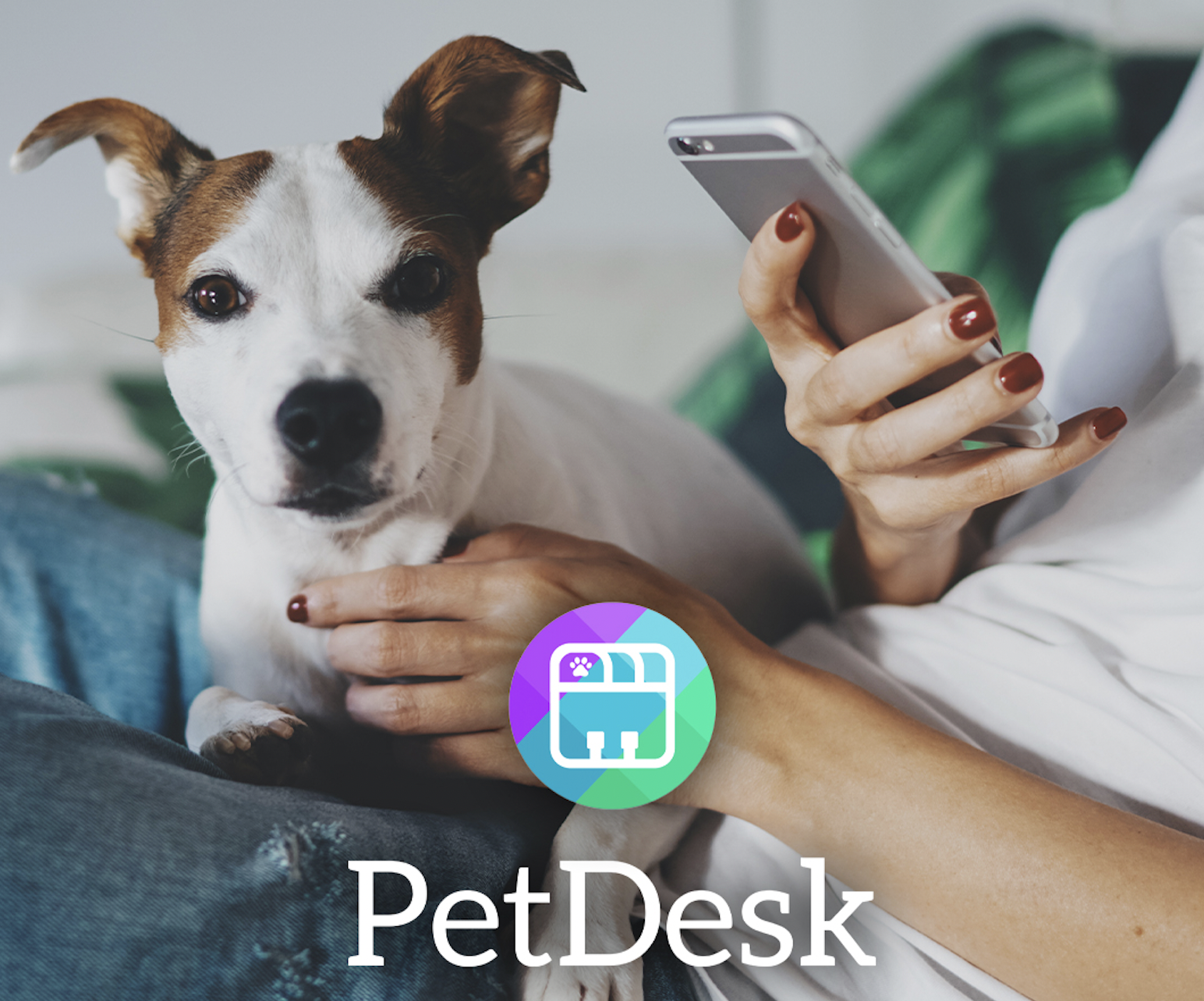 Download-Pet-Desk-App